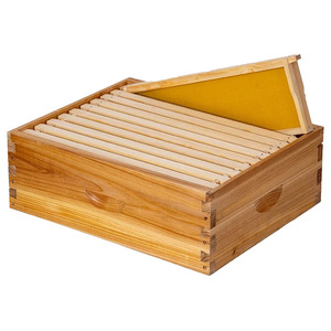 Bee Box 8 10 Frames Langstroth Beehives Honey Bee Hive Box