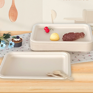 Plaques de bagasse de canne à sucre jetables rectangulaires à 5 compartiments micro-ondable sulfurisé avec plateau à 5 compartiments pour le camping - Product Image 2