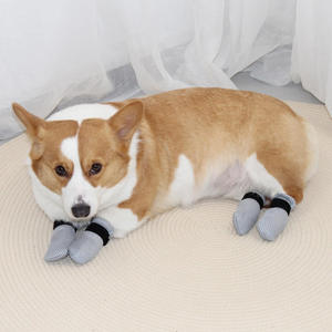 कुत्ते के साथ एंटी-स्क्रैच बिल्ली नरम लुभावनी गैर पर्ची को तैयार रखने के लिए डिजाइन पर रहना - Product Image 4