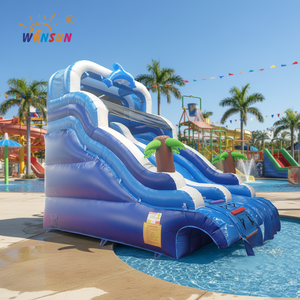 WINSUN <b>Small</b> Kids PVC Inflatable Double Lane Dolphin Water <b>Slide</b> for Outdoor Water Park Shopping Mall Use - Product Image 1