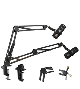 <b>Microphone</b> USB/XLR RGB Light Gaming Live Streaming Podcasting Video Recording Arm Stand - Product Image 1