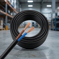 OEM-Fabrik H05VV-F RVV Mehradriges 1,5mm 2,5mm Flexibles Kupferkabel mit Robuster PVC-Ummantelung