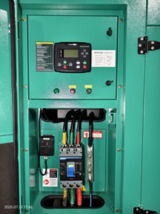 Gผู้ผลิตสำหรับเครื่องยนต์ชุด6LTAA8.9-G2 200kw 250kva 275kva 220kw - Product Image 3