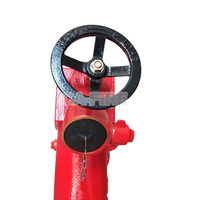 Hydrant d'incendie de type BS de 4 pouces, prix d'usine CA, hydrant d'incendie de 100 mm avec vanne d'hydrant DN65