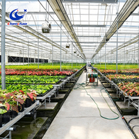 Bac à semis en treillis soudé galvanisé commercial, banc de culture en fil métallique pour pépinière et plantes en pot