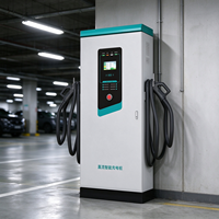 Chargeur rapide DC de 60 kW à 160 kW, station de recharge pour véhicules électriques à double connecteur, écran tactile, sur pied, pour utilisation en flotte routière