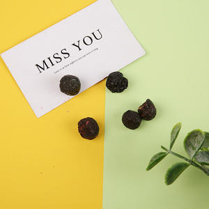 Şekersiz yabanmersini dondurularak kurutulmuş toplu kurutulmuş meyve toptan dondurularak kurutulmuş meyve ürünü - Product Image 4