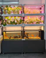 Système aquaponique écologique Seedafarm à recirculation avec éclairage LED pour plantes, intégration de poissons, jardin intérieur et culture de légumes