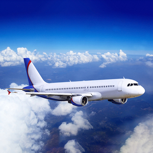 Giá rẻ nhất Trung Quốc để toglobal DỊCH VỤ VẬN chuyển ddu/DDP Express Trung Quốc vận tải hàng không Để Anh <span class=keywords><strong>erbil</strong></span> IRAQ - Product Image 6