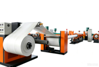 SHUANGJI Nouvelle Extrudeuse Automatique de Feuilles de Mousse PS/EPS 380V, Contrôle PLC, Moteur de Pompe 200kW, Multifonctionnelle, Écologique, Haute Performance