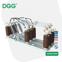 Interruptor de Aislamiento Trifásico para Exteriores DGG, Interruptor de Desconexión Aislado de Porcelana y Cerámica para Distribución de Redes Eléctricas