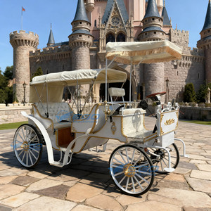 Calèche de luxe à deux rangées de sièges pour visites touristiques, calèche électrique historique pour mariages, transport spécial à vendre - Product Image 5
