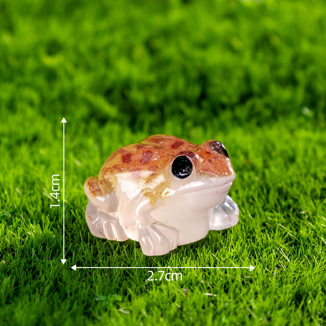 ไม่2 กบสีส้ม