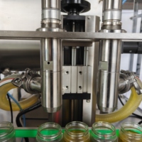 Ligne de production de machines de remplissage de liquides à piston horizontal à 2 têtes pour bouteilles de sauce BBQ automatiques – Fabrication chinoise