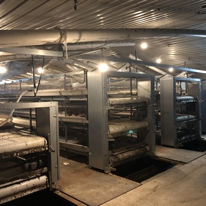 Nuovo sistema di uscita della gabbia della griglia anticollisione | Alta produttività del materiale zincato a caldo della macchina di scarico del pollame sicuro - Product Image 3