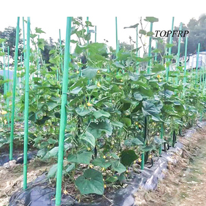 Fiberglass Rod Fiberglass Stake Passion Fruit Support Rod Fiber <b>Pole</b> - Product Image 1