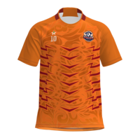Camiseta de Fútbol Ystar de Alta Calidad, Estilo Nuevo de Fábrica, Personalizada, Retro, Sublimada, con Diseño de Logotipo, para Hombre