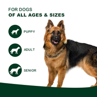 Complément alimentaire naturel pour la santé digestive et immunitaire des chiens de tous âges, nutrition pour animaux de compagnie, poudre probiotique