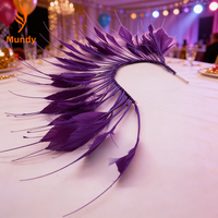 Tiges de plumes DIY pour la création de bijoux, les accents décoratifs pour la maison et les accessoires de photographie pour le carnaval et Halloween