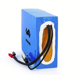 Batterie personnalisée pour scooter/vélo électrique 12V-72V 15-30Ah LiFePO4 1000W 1000 cycles - Product Image 6
