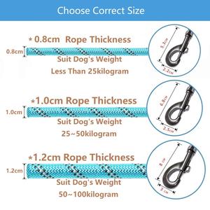 150/200/300cm laisse de <span class=keywords><strong>chien</strong></span> forte laisse pour animaux de compagnie laisse réfléchissante pour grand petit moyen grand <span class=keywords><strong>chien</strong></span> corde glisser tirer remorquage Golden Retriever - Product Image 6