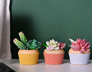 Maceta de Cerámica Esmaltada de Dos Tonos, Estilo Vintage, para Suculentas, con Orificio de Drenaje, Diseño de Cupcake, para Hogar y Jardín - Product Image 2