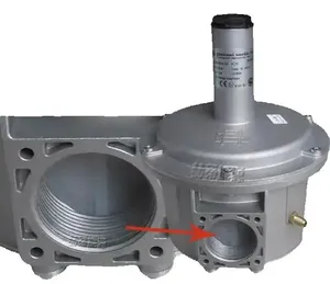 Reductor de presión de gas natural Giulian Anello FG1B25 DN 1B32 1B40 1B50 1B15 1B20 - Product Image 3
