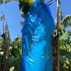 Bolsas de Protección Reutilizables de Polipropileno No Tejido para Plantas y Frutas - Fundas Ecológicas para Bananas y Tomates en Invierno - Product Image 6