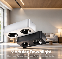 Plafonnier modulaire multi-têtes en aluminium à montage en surface pour salon et éclairage résidentiel