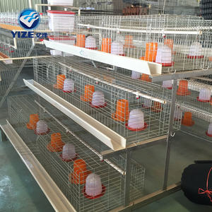Gabbia per polli da carne di Design di bellezza per attrezzatura per bestiame da allevamento di polli Kenya Farm 200 - Product Image 5