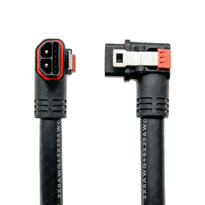 Câble de chargeur de batterie de moto, connecteur 2 + 6 broches pour remplacement et réparation de batterie au lithium - Product Image 5