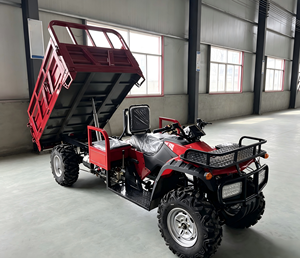 NUOVO Triciclo da Carico di Alta Qualità, Veicolo Fuoristrada Motorizzato - Product Image 3