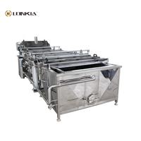 Automatische Blancheerapparatuur Fruit Groentechips Groene Bonen Mango-Tomatenblancheermachine