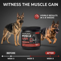Compléments et vitamines pour chiens Waylemo, comprimés à mâcher pour développer les muscles, protéines de lactosérum, acides aminés, soins de santé pour animaux de compagnie