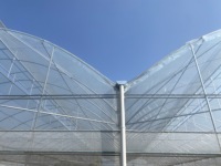 Serre tunnel en film plastique multi-chapelles double couche en PE, grande taille, résistante au vent, avec système de ventilation CHOYUEH