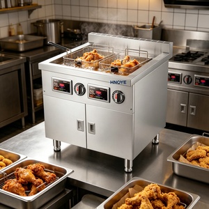 Freidora Eléctrica de Sobremesa de Acero Inoxidable de 16L para Maíz, Hot Dogs y Rollitos Primavera - Product Image 1