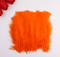 Plat 50pc paquet rouge longue plume de dinde pour bricolage artisanat cheveux Costume accessoire de pêche mouche attachant matériel ornement frange décor
