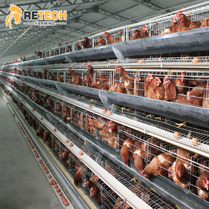 Thiết bị chăn nuôi gia cầm tự động, chuồng nuôi gà đẻ trứng kiểu tầng với máng ăn và máng uống - Product Image 1