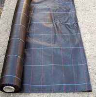 Film de paillis en plastique tissé pour l'agriculture PP Tissu de couverture du sol Tissu anti mauvaises herbes Tapis de mauvaises herbes pour la ferme