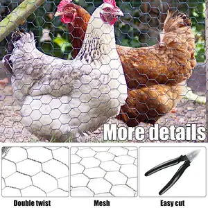 Factory supply 1" chicken wire/ galvanised hexagonal wire mesh China manufacture for hexagonal wire mesh
