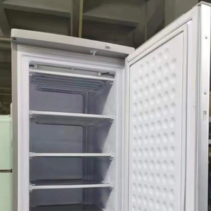 BD-198 DC 24V năng lượng mặt trời Ice Block máy 7 lớp thương mại năng lượng mặt trời bảng điều chỉnh Gel pin OEM ckd đôi lớp bên ngoài Condenser - Product Image 1