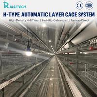 Système de cages automatiques pour poules pondeuses de type H, cages en batterie multi-niveaux, équipement d'élevage avicole en fil galvanisé pour la production d'œufs