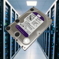 WD40PURX 4TB SATA 6Gb/s 5400 RPM 64MB 512e 3.5 inci Hard Disk Drive Ungu untuk Sistem Penyimpanan NVR DVR