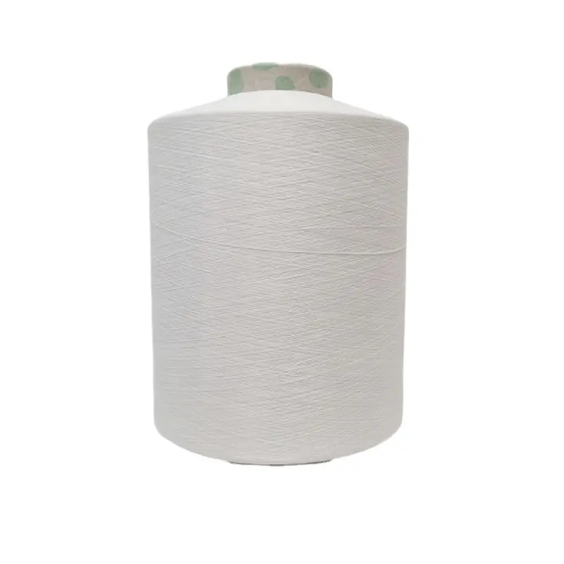2022 High Quality Warp Knitting Polyester Spun Slub Yarn Fdy Yarn 300D Polyester CHINA SUPPLIER FOR WEAVING, KNITTING AND SEWING