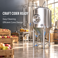 Cuve de Fermentation Industrielle Nano-Bière 100-5000L PLC Automatique Poli Miroir SUS304 SUS316 380V Triphasé 50Hz