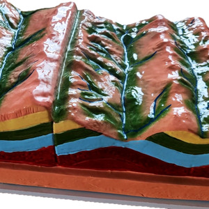 Modelo de enseñanza de Geografía de Ciencias Médicas de estructura de pliegue y su evolución geomórfica para equipos educativos - Product Image 5
