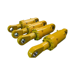 Xi lanh thủy lực tác động kép với các công cụ sửa chữa chuyên nghiệp được thiết lập để sử dụng trong công nghiệp - Product Image 6