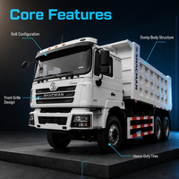 Самосвал SHACMAN F3000 6x6 для тяжелых условий эксплуатации, для строительства, горнодобывающей промышленности и транспортировки в карьерах