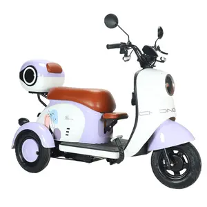 Elderly Electric Tricycle City Moped Bike Rechargeable Adult