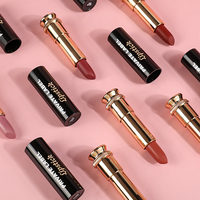 Vente en gros de nouveaux rouges à lèvres hydratants longue durée, étiquette privée personnalisée, rouge à lèvres mat imperméable
